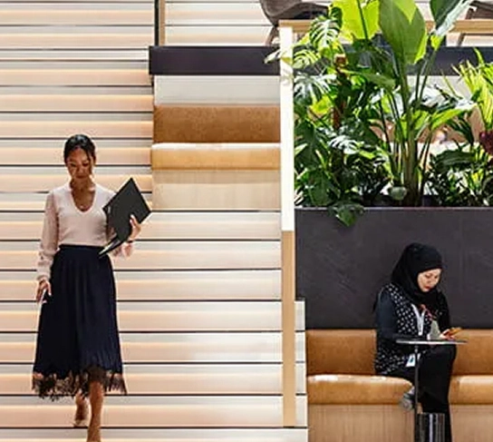 Tradition and Innovation