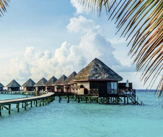 Exclusive and Refined Comfort